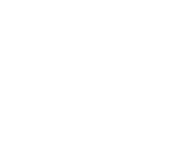 Die Ferienwohnung